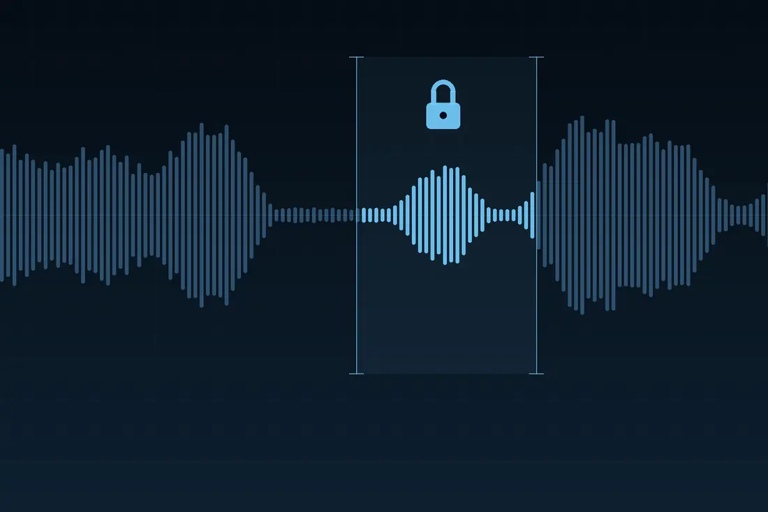 Audio waveform of a conversation with one stretch bracketed and locked
